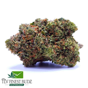 AAA Pink Rockstar
