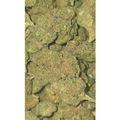BLACK CHERRY $70oz 2FOR$130 4FOR$250  thumbnail 2