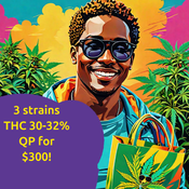 BC Combo: 7 powerful strains to choose from! QP for $300! 