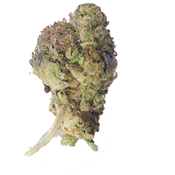 BC (AAA) WHITE GUSHERS thumbnail 2