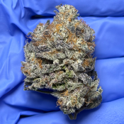 GARY PAYTON (The Y x Snowman) grown by KingsCove Craft Cannabis