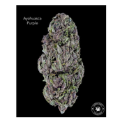 AA+ - AYAHUASCA PURPLE