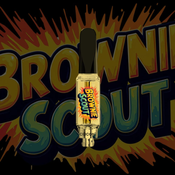 Brownie Scout