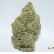 Colombian Mojito Sativa Dom AAAA