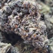 (New) Banana Split 🍌  $135/Oz 🔥  thumbnail 2