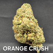 Orange Crush Indica Dominant 