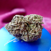 *Sum'r 🔥Sale* A2 Cookies (14g-$45/28g-$60/2oz-$100) (THC 27%) thumbnail 3