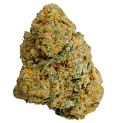 BC (AAA+) SOUR CREAM