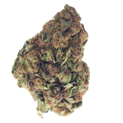 BC (AAA) KING KUSH 