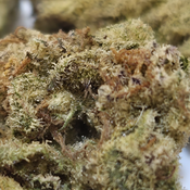 (NEW) Glazed Donuts 🍩 ($75/Oz ) 🔥  thumbnail 3