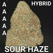 # 67% OFF  6.5⭐ SOUR HAZE (STRONG SATIVA) AAAAA $95 OUNCE SALE (REG $300)