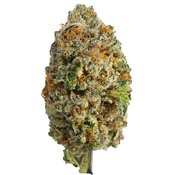 BC (AAA+) OG KUSH