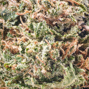 ( AAA ) Pink OG 24% THC |  $120/Oz  |  $170/2 Oz  thumbnail 2