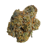 BC (AAA) BLUEBERRY KUSH (20% THC)