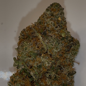 Cement Shoes INDICA 29-33% THC | $100 an oz | $150 for 2 Ozs | thumbnail 2