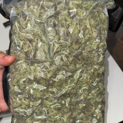 Budget friendly | Purple Urkle AAA 2 oz 109.99 | locally growing   thumbnail 3