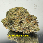 Cherry Bomb - Hybrid - THC 27-32%