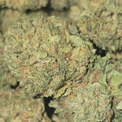 CANDY PAINT 70OZ 2FOR130 4FOR250