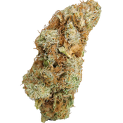 BC (AAA+) BLUE DREAM