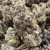 FALCON 9 120OZ 2FOR220 4FOR420