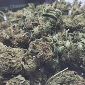 (NEW) Girl Scout Cookies 🍪 $45/Oz, $75 for two Oz) (OUTDOOR) thumbnail 3