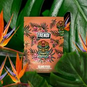 Trendi Zkittlez x Georgia Pie 3.5g Prepack