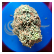 *NEW* Chocolope (7g-$50/14g-$75/28g-$140) (29% THC) thumbnail 2