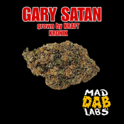 GARY SATAN - MAD DAB LABS🔥🔥🔥🔥