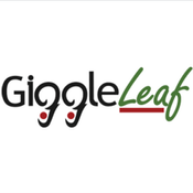 Giggle Leaf - Cannabis Store - Parry Sound
