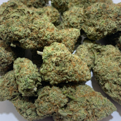 (NEW) Ghost Train Haze  **110oz**  SATIVA thumbnail 4