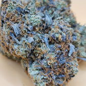 (5 STARS) Pink Zombie 💯🔥💣⛽️ 2 Oz for 250