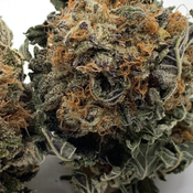 *NEW* Purple Legend - AA Local // 3oz for 150$