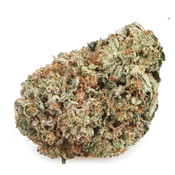 BC Blue Monster – 14G | 60$ – 28G | 95$ – Indica Gas