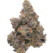 NEW 6 STAR Monkey King Pink 125$OZ 2For200$