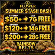 Summer Stash Bash - Amazing Value!