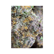 PURPLE KUSH LSO SMALLS thumbnail 3