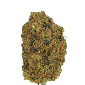 BC (AAA)  GREEN CRACK