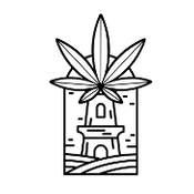 Amsterdam Cannabis