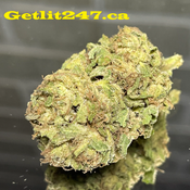 "Budget Weed" StarKiller OG - Hybrid 80%Indica / 20%Sativa - THC 28%