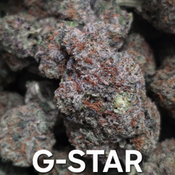G-Star Indica Dominant 