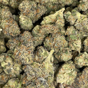 10 Week Girl Scout Cookies (Premium Value) - 3oz @ $160, 4oz @ $200