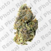 Alien Runtz (3.5g - 1/8oz) - PREMIUM FLOWER - Hybrid