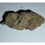 Bubblegum Gelato (Premium-Grade)
