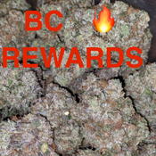 BC 🔥 REWARDS