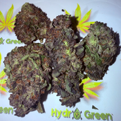 ******PURPLE THAI***** thumbnail 2