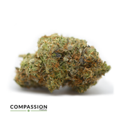 Gas Face  - Insane Terpenes!
