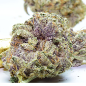 NEW Glitter Marker 70$OZ 2For125