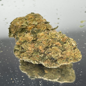 Death Punch - Hybrid 60% Indica/ 40% Sativa - THC 21-31%