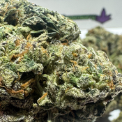 (NEW) El Dorado $75oz thumbnail 2