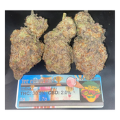 ***NEW*** Ice Cream Cake (TROPHY LSO)